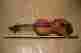 V6100 Eastman Samuel Violin 1 2 Size