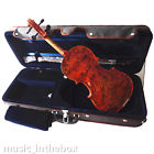 Va900s No Label Beautiful Bird Eye Viola Square Case 751663247232