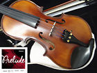Vb330es Vc820pk No Brand Student Antique Violin With Prelude String 609779757438