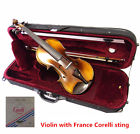 Vb550aq Vc550 No Label Nice Sound Antique Flamed Back Violin 751663245399