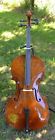 Vc101t Christopher Chicago Performance Cello Model Bow Gig Bag
