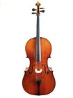 Vc501 Christopher Memorial Day Sales Performance Cello