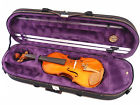 Vc820pl No Label Beautiful Interior Shape Designed Violin Case 637122497991