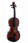 Viof14 D Luca Dluca Student 805232000923