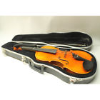 P3048 Violin Jan Dvorak With