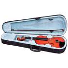 Violin With Carrying Case 024409387104