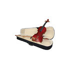 Vl-800k Toledo Brand New Violin