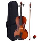 Vl100-44 Eastman Beautiful New Violin With Chest Cushion Case Bow