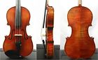 Vl1000 Alexanderviolons New Old Spruce