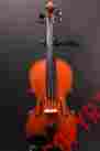 Vl210 Eastman 4 Violin Outfit Used