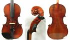 Vl2800 Alexanderviolons Old Spruce 3-4