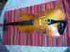 Vl30e Glaesel Violin Copy Of Antonius Stradivarius Faciebat Cremona 1713