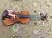 Vlf1 Eastman 2016 Full Size Violin Outfit W Case Carbon Fiber Bow Pro Setup
