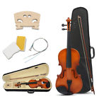 Vli-001 Apelila Acoustic Violin Natural Full Size Fiddle Spruce 699952651943
