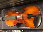 Vln-300 Aileen Musical Musician Violin