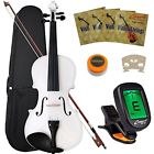 Vlwt44 Crescent Acoustic Violins 4-4 892036002369