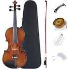 Vlz51-44 Adm Violin Full Size Solidwood Ebony Fitted Kit Profession Brown
