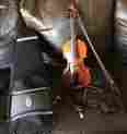 Vn-100 Xuechang Sun 1 2 Size Violin With Carbon Fiber Bow Case And Accessories