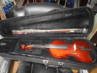 Vn-300 Palatino Genoa 300 Violin