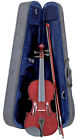 Vn-450-3-4 Palatino Allegro Ebony Violin 840246008572