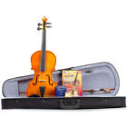 Vn-kit Palatino 4-4 Violin Player 840246011268