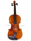 Vn200eb Unbranded Ebony Fitted Orchestra