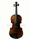 Vn300eb Unbranded Semi Flamed Concert