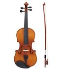 Xbi4422474486075sg Ammoon 1-4 Violin Fiddle 730060592787