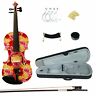 Xc1003  Kinglos Yellow Red Rose Colored Ebony Fitted Solid 701056544929