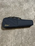 Eastar Eva Acoustic Violin Case. Fixed Price $20.00.