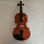 Angel Taylor Century Strings V120 Violin - 1/2 Size W/ Core Case, Reale Bow. Fixed Price $195.50.