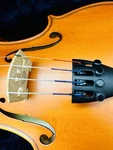 Eastman EVLNR44E Student Violin (4/4). Fixed Price $700.00.