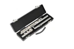 Cases 1SKB-312 Foot Flute W/ Neck & Mouthpiece Bags Lightweight New. Fixed Price $74.99.