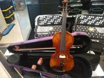 Vienna Strings Hamburg European Tradition 4/4 Violin. Fixed Price $369.00.