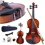 Glarry 4/4 Elegant Classic Spruce Wood Violin Set W/ Accessories For Beginner. Fixed Price $51.90.