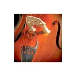 The Realist RLSTSWB1ORCHESTRAL Bass Transducer W/ Wood Element. Fixed Price $242.95.