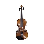 Reichel Violins 1/4 Student Model Etude Outfit Hand Carved Solid Wood. Fixed Price $252.89.