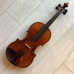 Violin Roderich Paesold 804A 4/4. Fixed Price $1449.44.