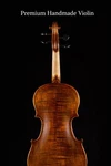 Christina Muse Beginner Violin Kit All Sizes Acoustic Case Bow Au Stock. Fixed Price $399.00.