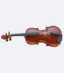 Stagg VN-3/4-SIZE Ef Solid Spruce Top Maple Violin With Ebony & Shaped. Fixed Price $523.88.