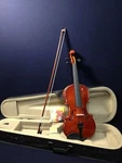 Caraya Wooden Violin Set Size From 4/4 To 1/16 Deluxe Foam Case, Bow And More. Fixed Price $93.47.