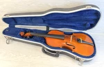 Skylark MV-005 4/4 Acoustic Student Violin Brown Varnish Hard Case. Fixed Price $90.00.