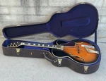 Samick JZ-4 JZ4 Greg Bennett Lasalle Design Electric Guitar Excellent Rare Case. Fixed Price $791.12.