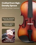 Violin 4/4 Full Size For Adults, Fiddle Set Beginners Student W 751. Fixed Price $87.14.