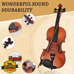 Ineffa Violin 4/4 Beginners Adult Kit Hard Case Bow Rosin Shoulder Rest Tuner. Fixed Price $179.99.