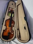 Palatino VN-350 1/2 Acoustic Violin Brown Varnish W/ Hard Case & Bow. Fixed Price $64.50.