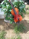 William Lewis & Son Violin Laurel 101. Fixed Price $76.00.