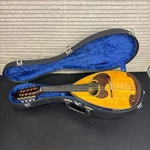 Suzuki Violin Nagoya M-30 Mandolin Stringed Instrument Western. Fixed Price $228.47.