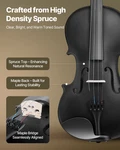 Violin 4/4 Full Size For Adults, Professional Solidwood Instruments (black). Fixed Price $93.20.
