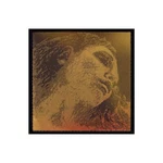 Pirastro Violin Evah Pirazzi Gold Set, Medium Ball. Fixed Price $225.82.